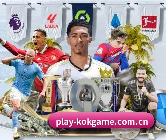 kok体育娱乐 APP