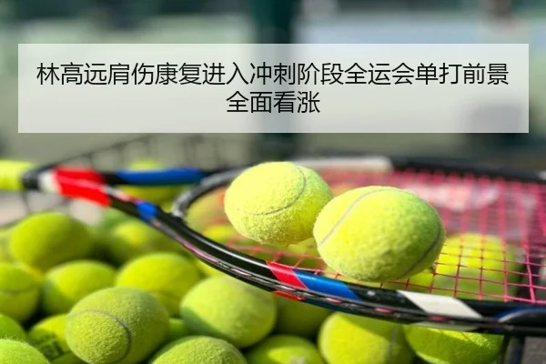 林高远肩伤康复进入冲刺阶段全运会单打前景全面看涨