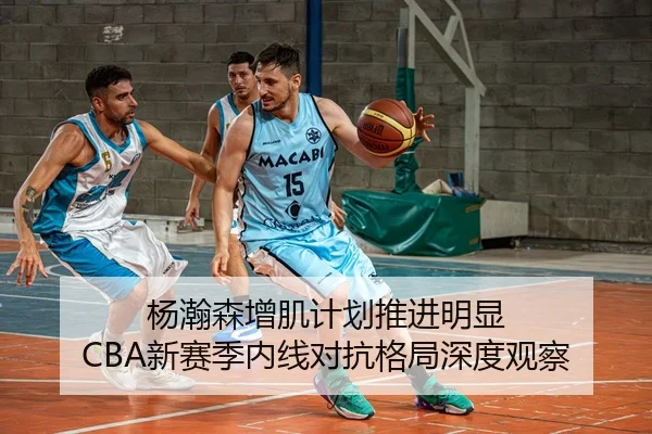 杨瀚森增肌计划推进明显 CBA新赛季内线对抗格局深度观察